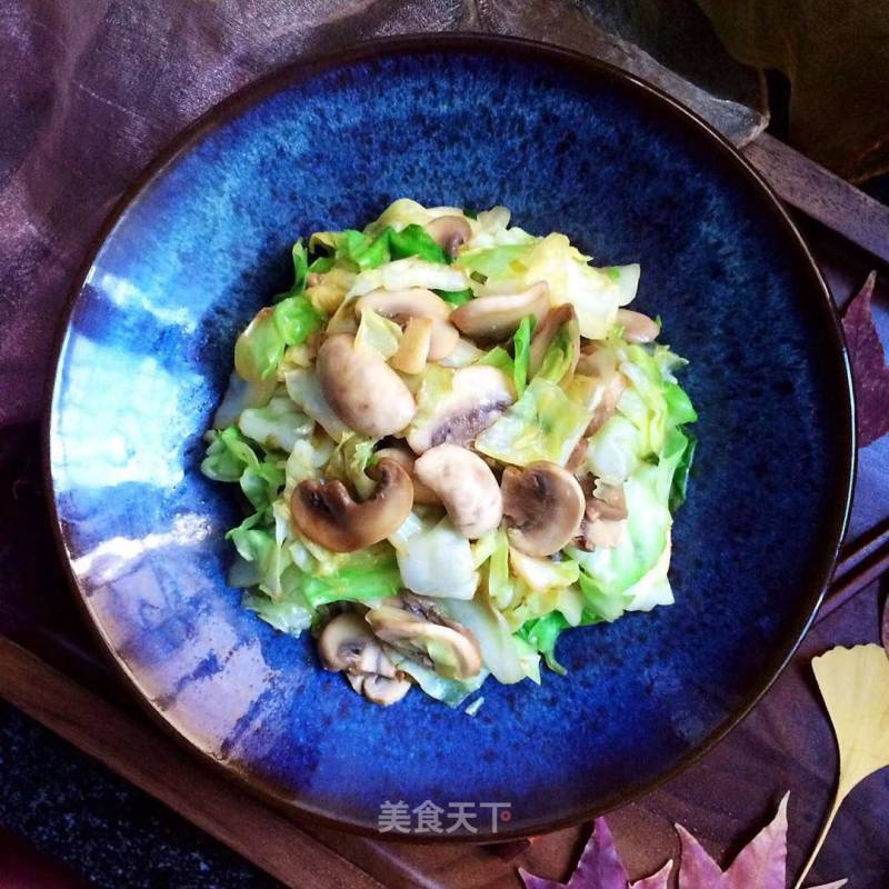 Mushroom Cabbage with Oyster Sauce recipe