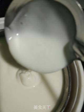 #trust之美#how to Make Yogurt at Home recipe