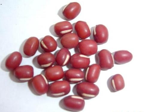 Red Bean Buns recipe