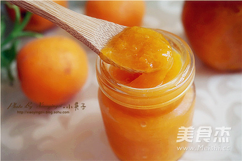 Drooling Sweet Apricot Jam recipe