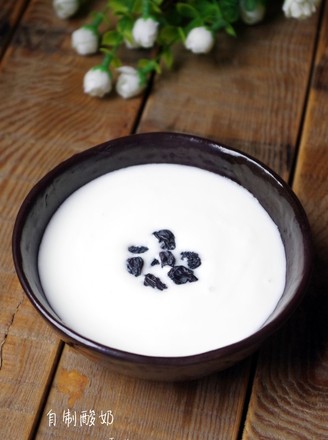 Homemade Plain Yogurt recipe