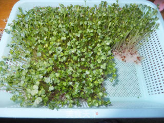 Radish Sprouts Mixed with Silver Needle Mushroom recipe