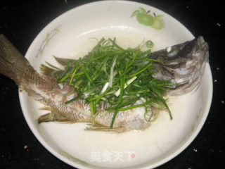Cantonese Steamed Fish recipe