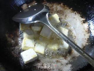 Braised Tofu with Bamboo Shoots recipe