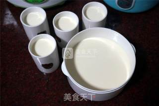 Freshly Brewed Silky Yogurt recipe