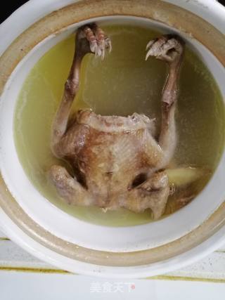 Pigeon Soup recipe