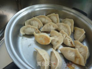Lamb Fried Dumplings recipe