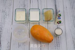 Papaya Coconut Milk Jelly recipe