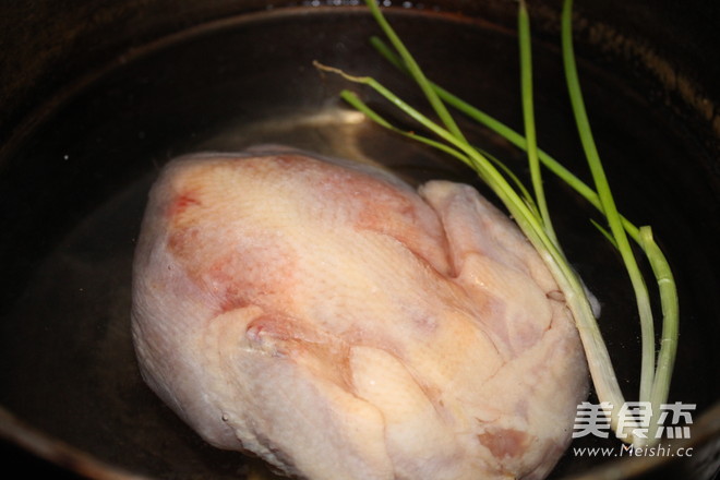 Boiled Chicken recipe