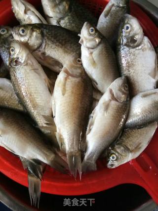 Cumin Crucian Carp recipe