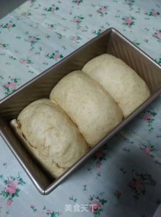 White Toast (medium Type) recipe