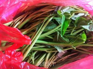 Vegetarian Stir-fried Water Spinach recipe