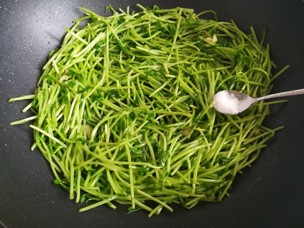 Stir-fried Willow Artemisia Sprouts recipe