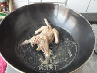 Stewed Pigeon Soup recipe