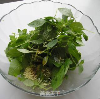 Nepeta Noodles recipe