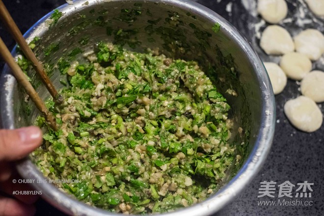 Cilantro, Mushroom and Chicken Breast Dumplings recipe