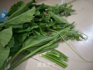 Stir-fried Tempeh with Pumpkin Vine recipe