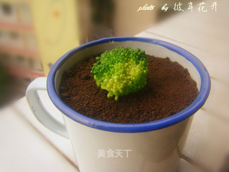 Potted Custard Cup recipe