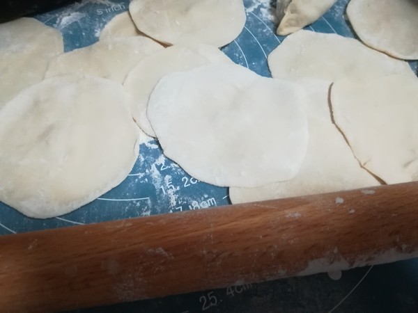 Dumplings Stuffed with Fennel Seedlings and Pork recipe