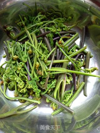 Bracken Fiddlehead recipe