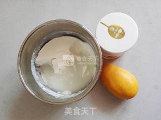 Mango Honey Yogurt recipe
