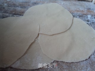 Fried Pork Dumplings recipe