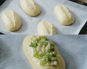 Japanese Scallion Cheese Meal Pack recipe