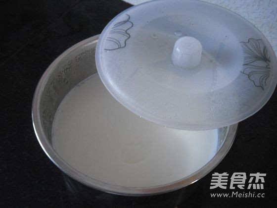 Blueberry Yogurt recipe