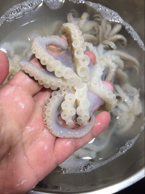 Octopus recipe