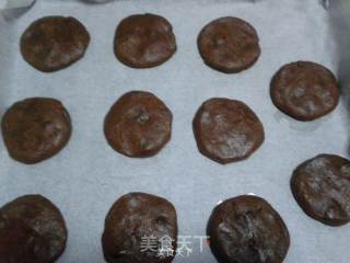 No Basic Super Simple Cocoa Biscuits recipe