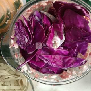 Purple Cabbage Tofu Filling recipe