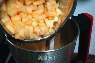 Cantaloupe Coconut Milk Dragon Fruit Popsicle recipe