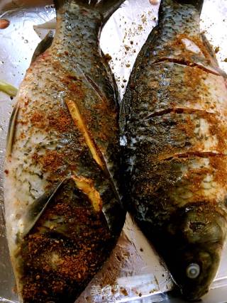 Spicy Grilled Fish recipe