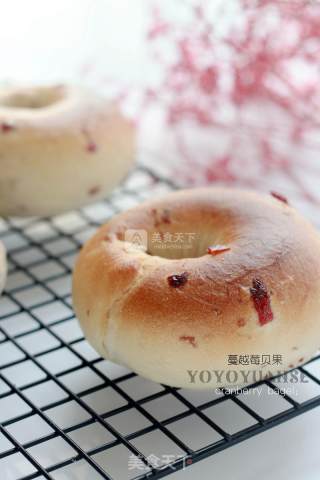 #aca烤明星大赛#cranberry Bagels recipe