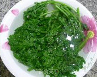 Chrysanthemum Mixed Protein recipe