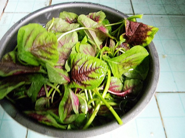 Red Amaranth with Garlic recipe