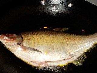 Braised Bream and Winter Melon recipe