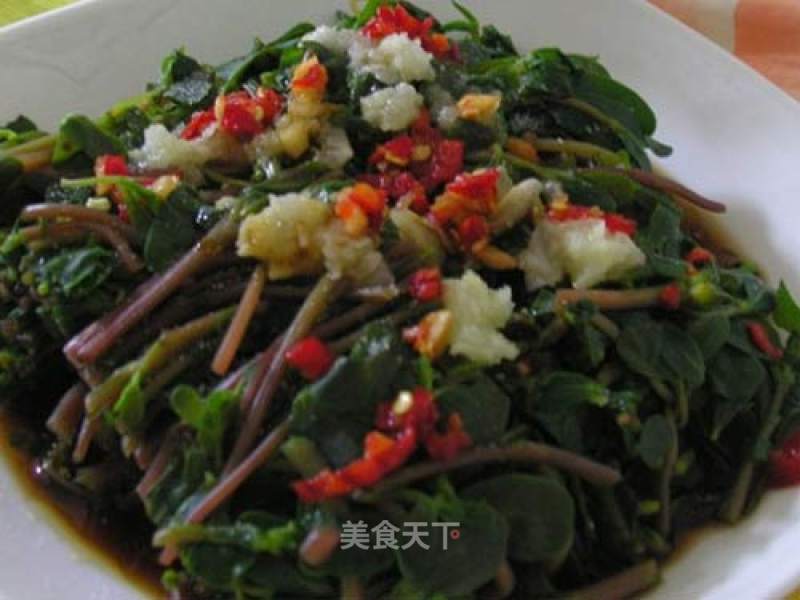 【summer Cold Dishes】cold Portulaca recipe