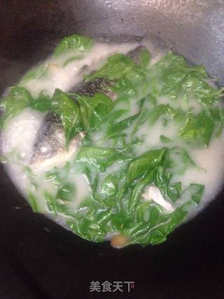 Lycium Barbarum Leaf Crucian Fish Soup recipe