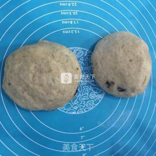 Whole Wheat Bread recipe