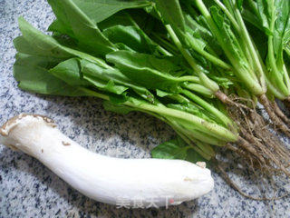 Pleurotus Eryngii with Spinach recipe