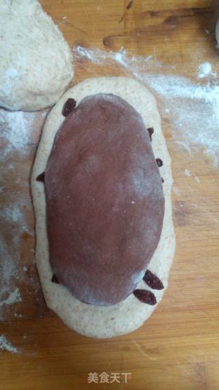 #四节 Baking Competition And是爱吃节# Whole Wheat Cocoa Two-color Toast recipe