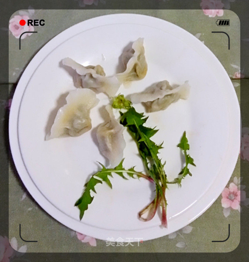 #春食野菜香# Dandelion Pork Dumplings recipe