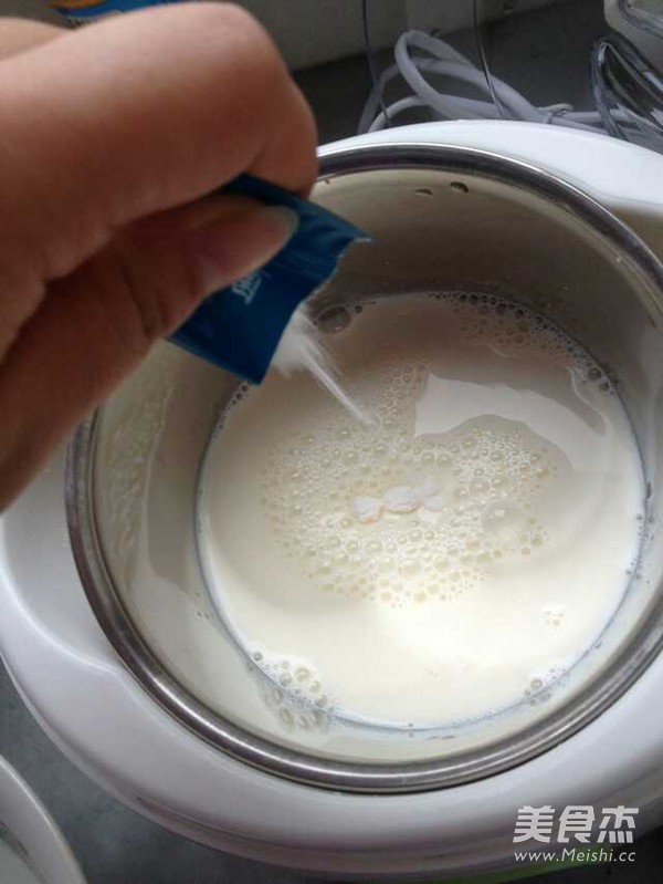 Homemade Yogurt recipe