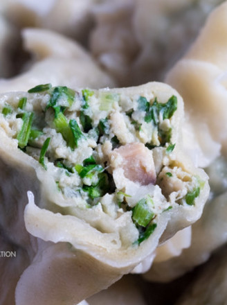 Cilantro, Mushroom and Chicken Breast Dumplings recipe