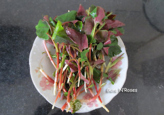 One Dollar Seasonal Side Dish——pleurotus Ostreatus in Cold Dressing recipe