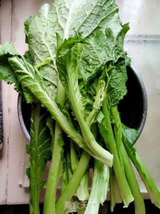 Spring Vegetables recipe