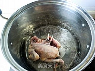 【anhui Cuisine】---huangshan Stewed Pigeon recipe