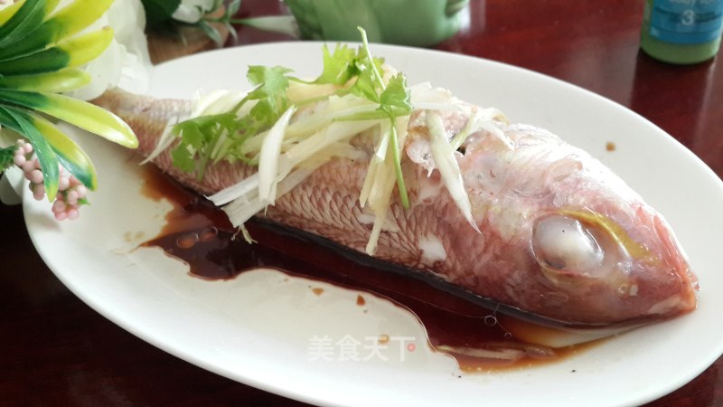 Steamed Rainbow Trout