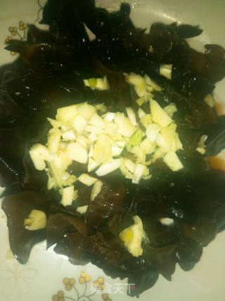 Cold Fungus recipe